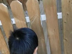 -廊坊固安福朋喜来登酒店