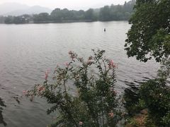 -西湖外事游船(花港观鱼码头)