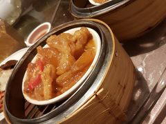 -金燕岛潮州酒楼