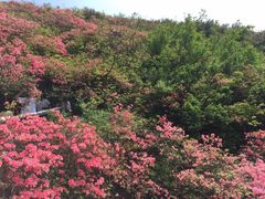 -木兰云雾山