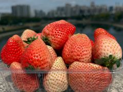 -水果地带(银泰城店)