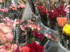 -鹿岛会员店 (龙湖三千集天街店)