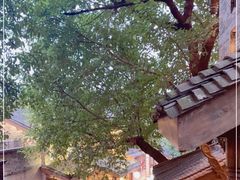 -重庆十八梯传统风貌区