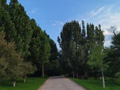 -北京西山国家森林公园