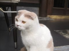 -花家怡园(四合院总店)
