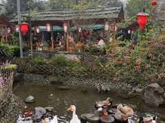 -青城甲(青城山店)