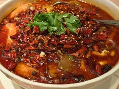 -香然会·园林雅宴(陆家嘴店)