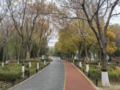 -大兴滨河森林公园