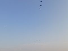 -盐城丹顶鹤湿地生态旅游区