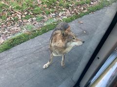 -西安秦岭野生动物园