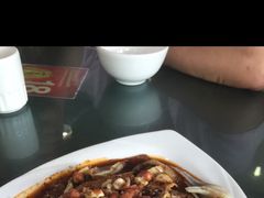 -曾牛肉