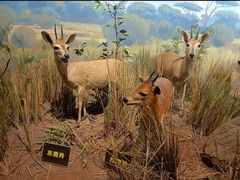 -陕西自然博物馆