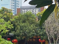 -滋粥楼·顺德菜(番禺广场总店)