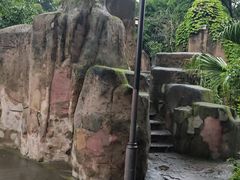 -桂湖森林公园