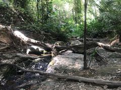 -滴水岩森林公园
