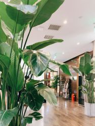 -崇尚GAVIN STYLE臻选