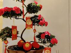 -咖啡苑自助餐厅·中国大饭店