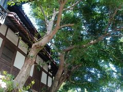 -五凤溪古镇
