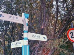 -东澳岛