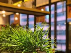 -黄记煌三汁焖锅(广州曜一城店)