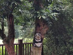 -张坝桂圆林公园