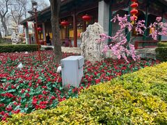 -白家大院·王府宫廷菜(苏州街店)
