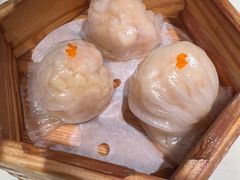 陶陶居大虾饺-陶陶居酒家(环市东店)