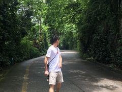 -东南亚风情赶摆街夜市
