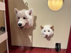 -和它·交个朋友·狗咖猫咖(爱琴海店)