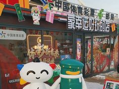 -沈阳奥体冰雪嘉年华