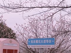 -上海辰山植物园