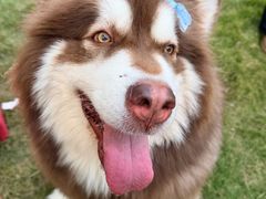 -上海神旺大酒店