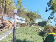 -板樟山森林公园