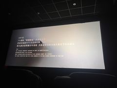 -悦江新远影城IMAX