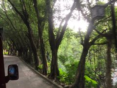 -南沙天后宫景区