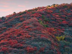 -水峪民俗村