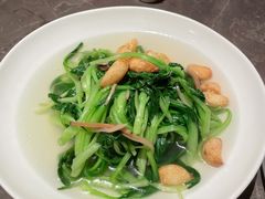 鸡毛菜-金鸭季·北京烤鸭(深业上城店)