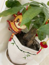-痘院长·祛痘修护·皮肤管理