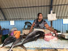 -尼甘布海鲜市场