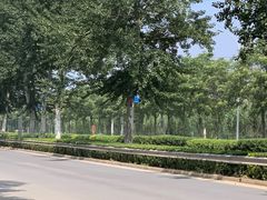 -百年义利(北兴路店)