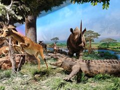 -国家自然博物馆