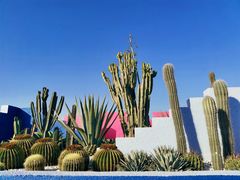 -漳州滨海火山岛自然生态风景区