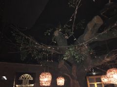 -树下时尚餐厅(翠园街店)