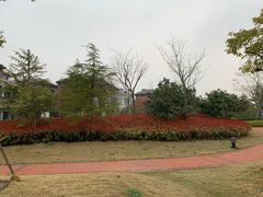 -美兰湖景区