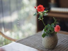 -厦门园林植物园-植物园滴水山房