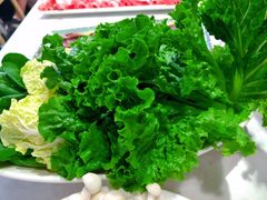 -食潮汕头鲜牛馆(望京保利店)