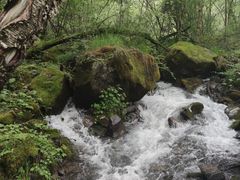-叠溪松坪沟景区