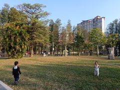 -四海公园(南山区)