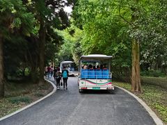 -东平国家森林公园