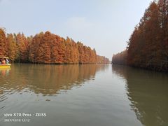 -上海海湾国家森林公园